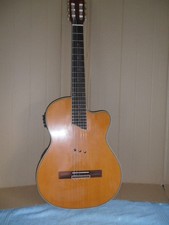Thinline electro acoustic for sale  SWANSEA