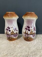 Vase paire ancien d'occasion  Amplepuis