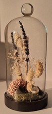 Autumnal dried flowers for sale  WARRINGTON
