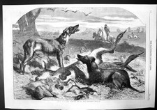 Old antique print for sale  UK
