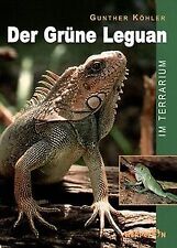 Grüne leguan terrarium gebraucht kaufen  Berlin