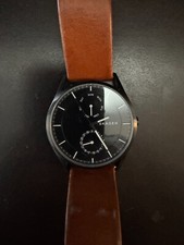 Holst Skagen SKW6265 comprar usado  Enviando para Brazil