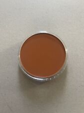 Panpastel burnt sienna for sale  NORWICH
