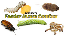 Best live feeder for sale  Huntsville