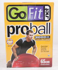 Gofit professioneller gymnasti gebraucht kaufen  Pforzheim