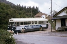 used buses for sale  TONBRIDGE
