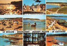 Querry pigeon bourgenay d'occasion Querry pigeon bourgenay d'occasion  France