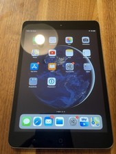 Apple ipad mini usato  Venezia