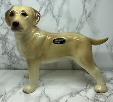 Large golden labrador d'occasion  Expédié en Belgium