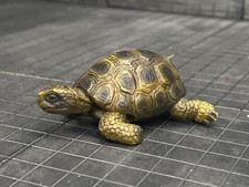russian tortoise for sale russian tortoise for sale Saint Paul
