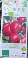 großen apfelbaum gebraucht kaufen großen apfelbaum gebraucht kaufen Pinneberg
