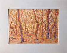 Autumn brimpt wood for sale  GUNNISLAKE