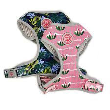 Dog collar lead for sale  SUDBURY