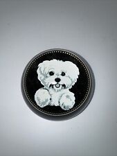 White poodle shih for sale  Wallburg