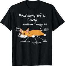 Anatomy corgi cane usato  Roma