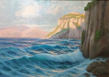 Mareggiata capri guglielmo usato  Sanremo