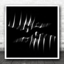 Face faces zebra for sale  UK
