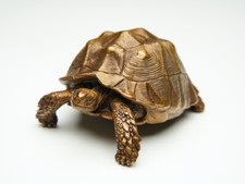 Figura de estatua de tortuga de latón chino fundido a mano coleccionable decoración del hogar 400 g segunda mano  Embacar hacia Mexico