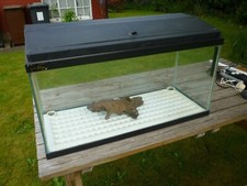 Aquarium long deep for sale  RADLETT