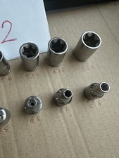 Blue point female for sale Blue point female for sale  LEEDS