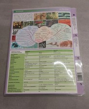 Spektrum mikrobiologie überbl gebraucht kaufen  Greifswald-Alte Stadtteile