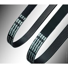 Ptibelt rippenband 8 gebraucht kaufen  Nordhorn