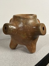 Catawba stem native for sale  Gastonia