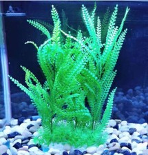 Plantes décoratives artificie d'occasion  France