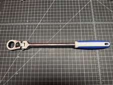 Blue point boermflcg for sale  Newport
