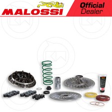 Malossi 6118154 gruppo usato  Italia