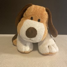 Pluffies whiffer beagle for sale  Kalispell