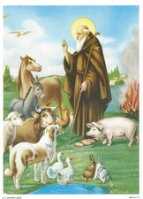 Catholic print picture for sale  Hillsboro