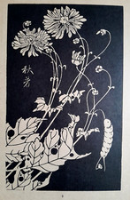 Ito jakuchu chrysanthemum for sale  OSWESTRY