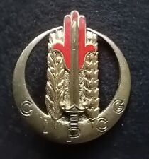 Insigne militaire centre d'occasion  Saint-Apollinaire