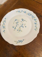 Plat rond arcopal d'occasion  Montfort-le-Gesnois