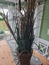 Beleuchtete rohrkolben 120cm gebraucht kaufen Beleuchtete rohrkolben 120cm gebraucht kaufen  Stralsund-Umland II