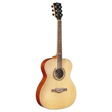 Eko chitarra acustica usato  Volpago del Montello