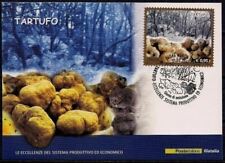 Piante tartufo bianco usato  Italia