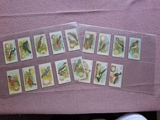 Gossage british birds for sale  NEWBURY