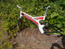 Specialized rockhopper comp for sale  UK