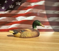 Beautiful male mallard for sale  York