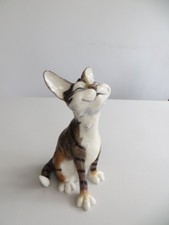 Pets personality cat for sale  UK