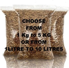 Dried mealworms birds for sale  MANSFIELD