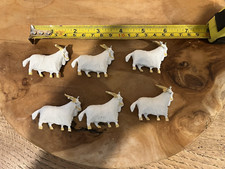 Six ceremonial goats for sale  BRIDGEND