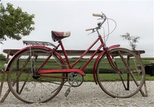 1970s triumph raleigh for sale  Payson