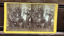 WISCONSIN Steroeview Green Lake Under the Bluff por Wyckoff década de 1870 comprar usado  Enviando para Brazil