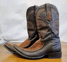 Cuadra brown exotic for sale  Evansville