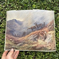 archibald thorburn for sale archibald thorburn for sale COLCHESTER