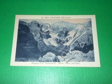 Cartolina bel cadore usato  Vimodrone