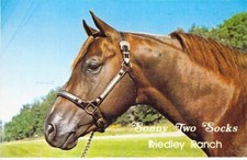 blazon vintage horse 70 kids for sale blazon vintage horse 70 kids for sale Fenton